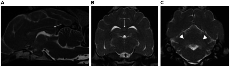 Figure 11