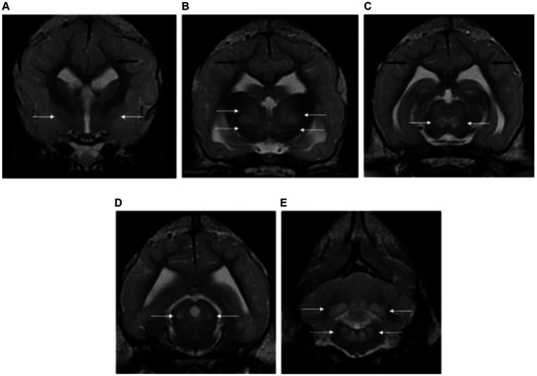 Figure 12