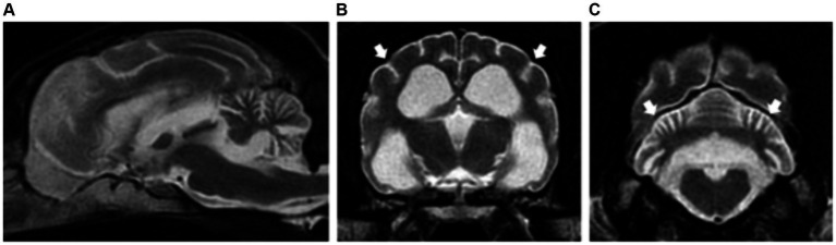 Figure 9