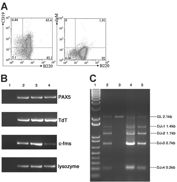 Figure 4.