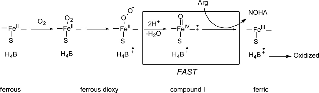 Scheme 2