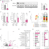 Loss of molecular clock function alters FLS transcriptional profile.