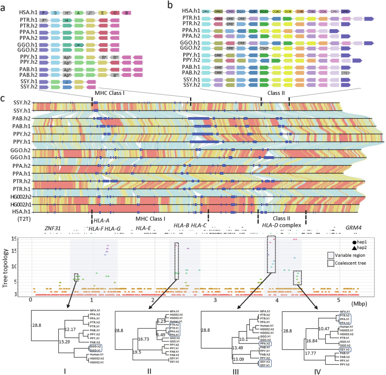 Extended Data Fig. 3