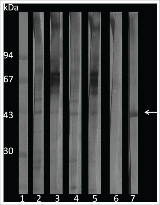 Figure 9.