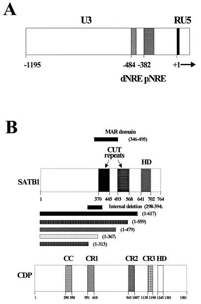 FIG. 1