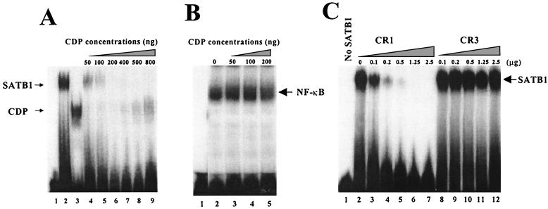 FIG. 6