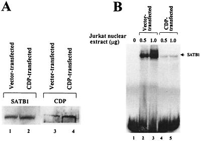 FIG. 7