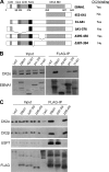 FIG. 3.