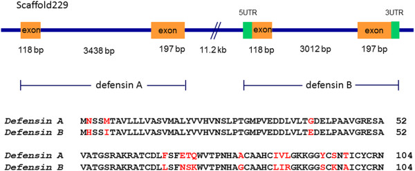 Figure 11