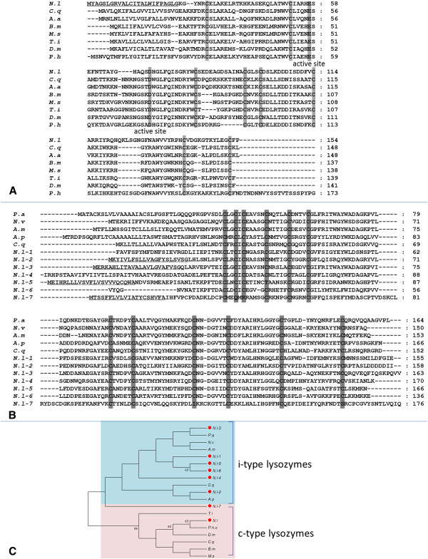 Figure 12