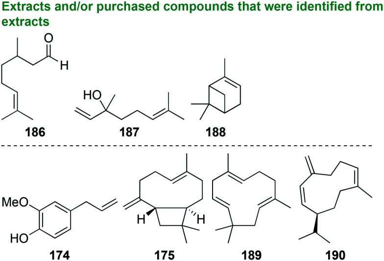 Fig. 16