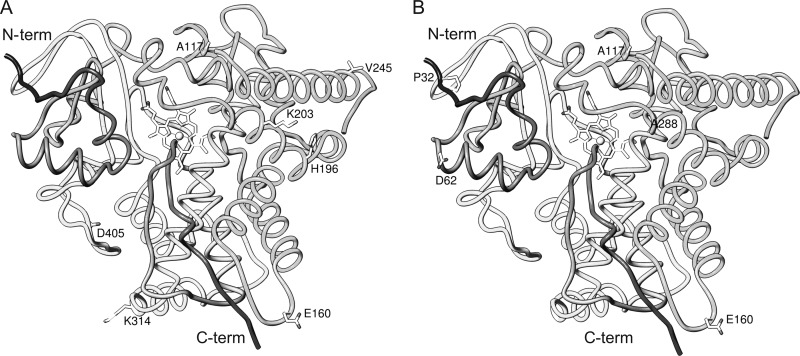 Fig 8