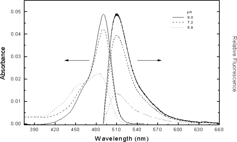 Fig. 2