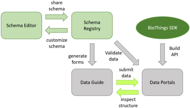 Figure 1 -