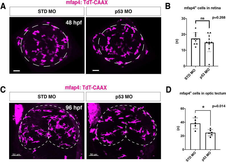 Figure 3—figure supplement 3.