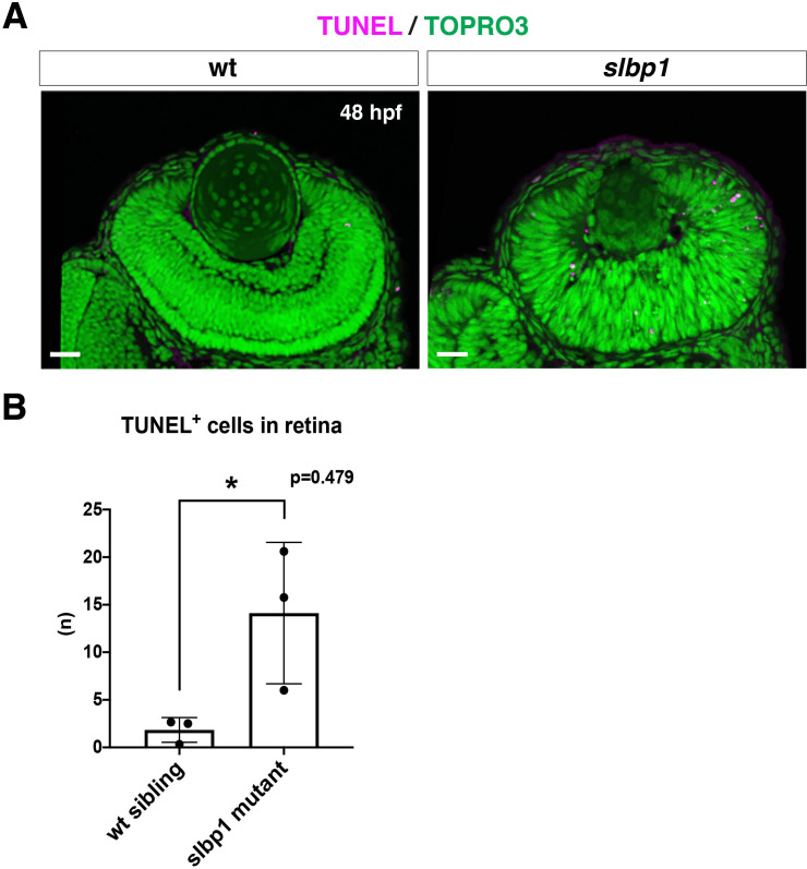 Figure 4—figure supplement 4.