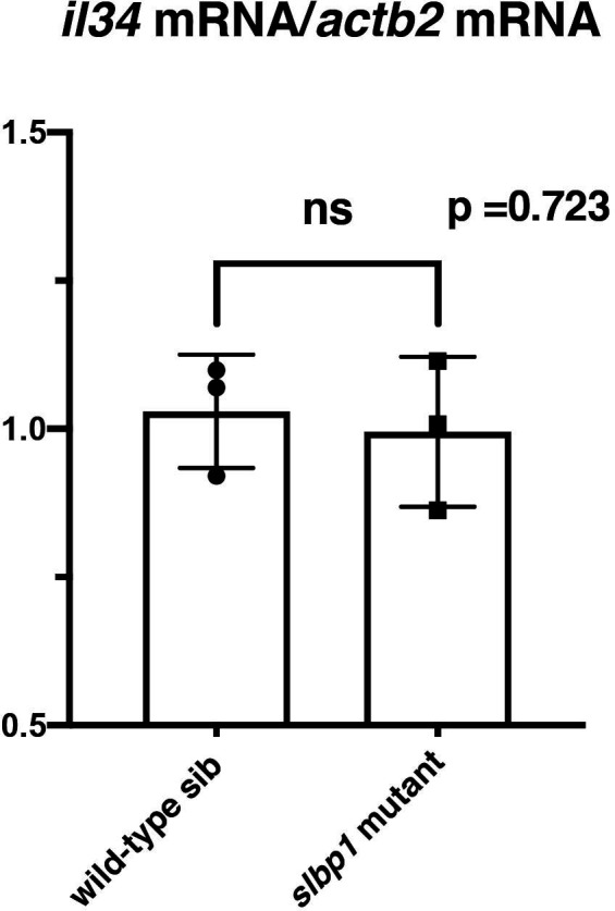 Figure 6—figure supplement 3.