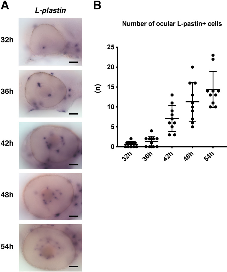 Figure 1—figure supplement 1.