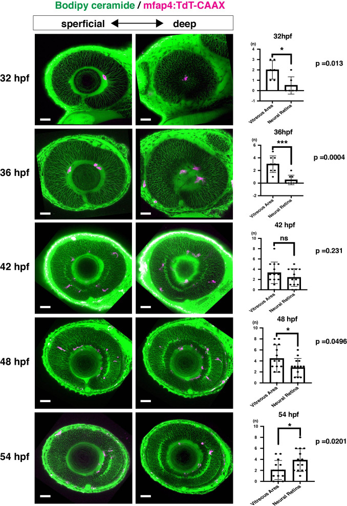 Figure 1—figure supplement 2.