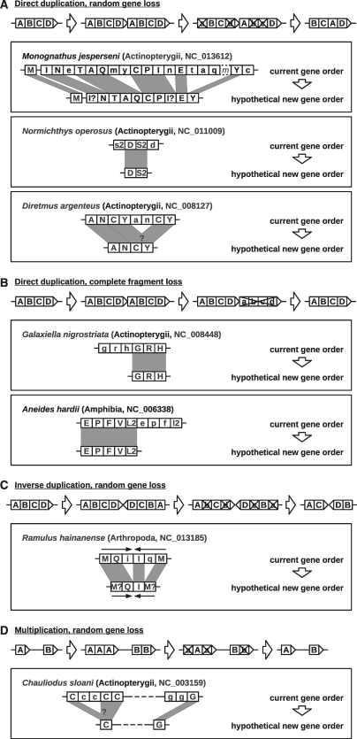 Figure 7.