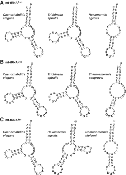 Figure 6.