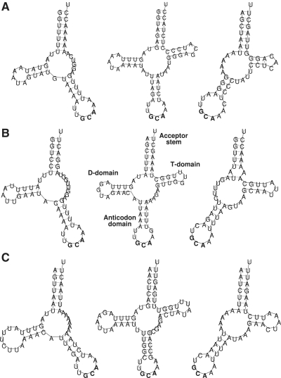 Figure 5.