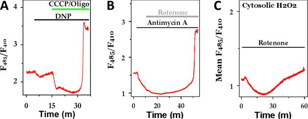 Fig 5