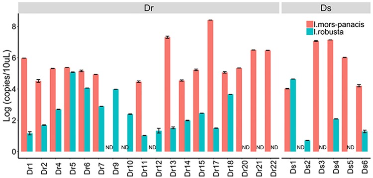 FIGURE 3