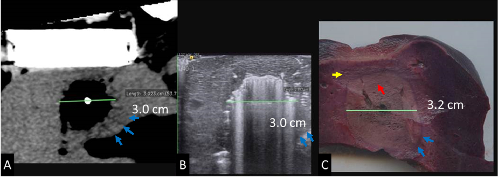 Figure 3: