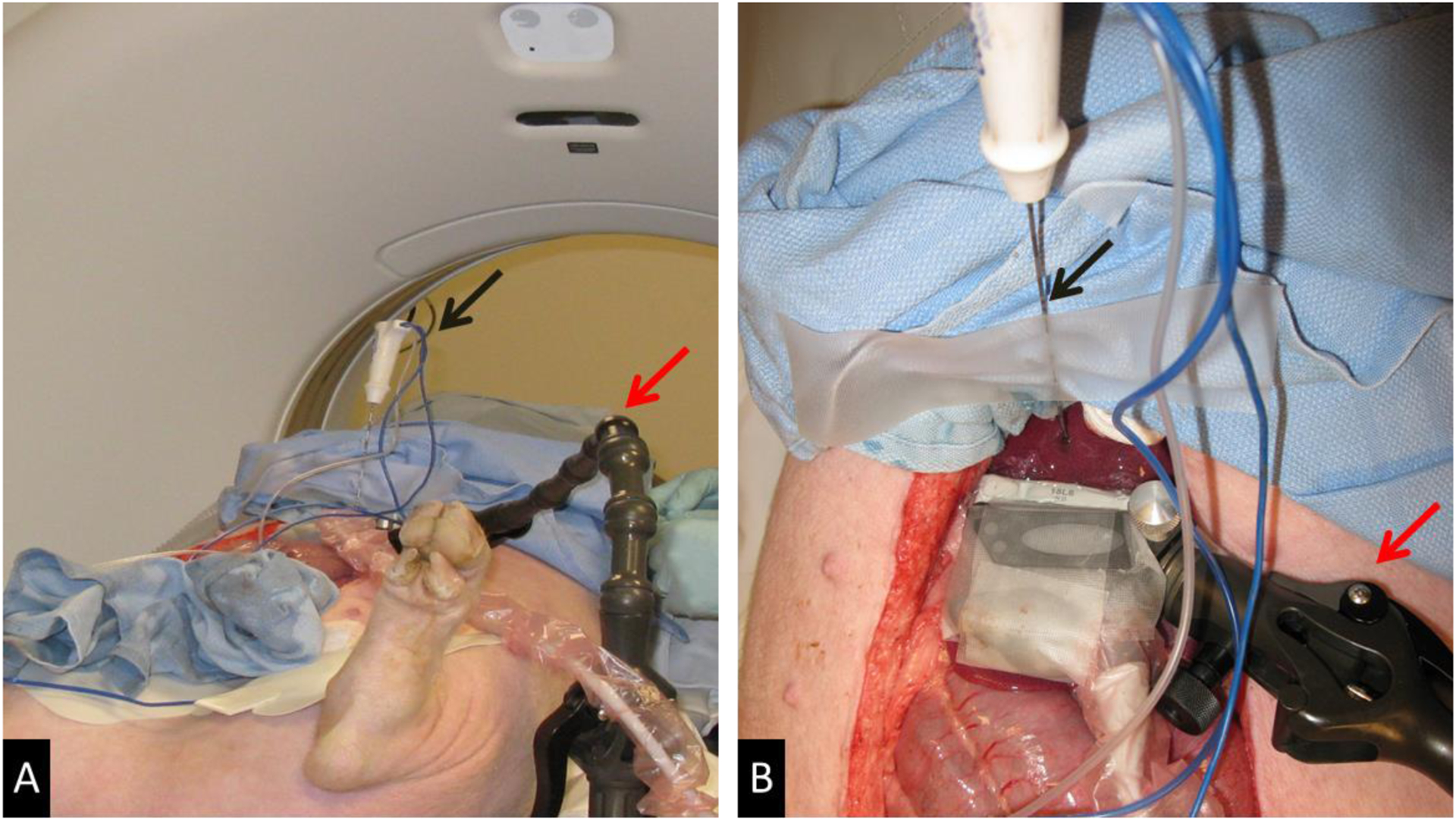 Figure 1: