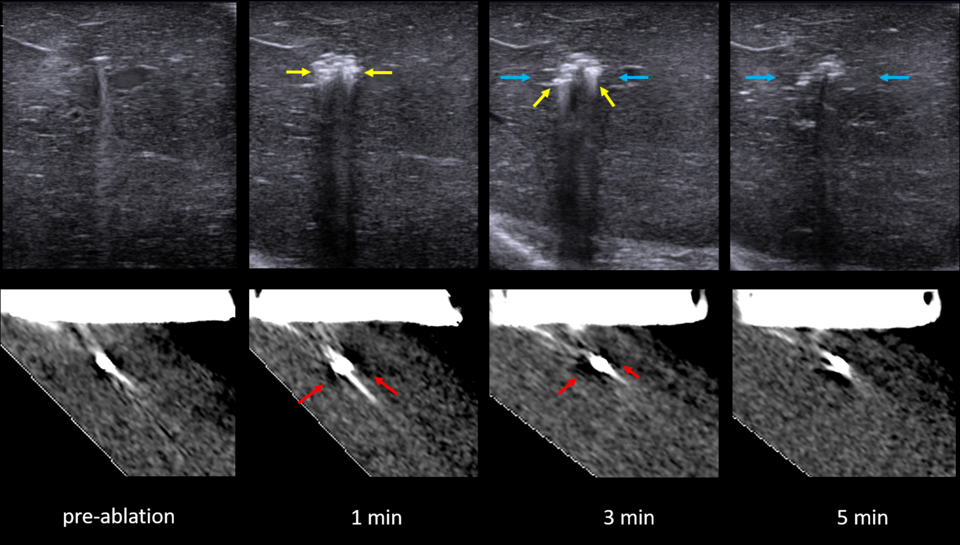 Figure 5: