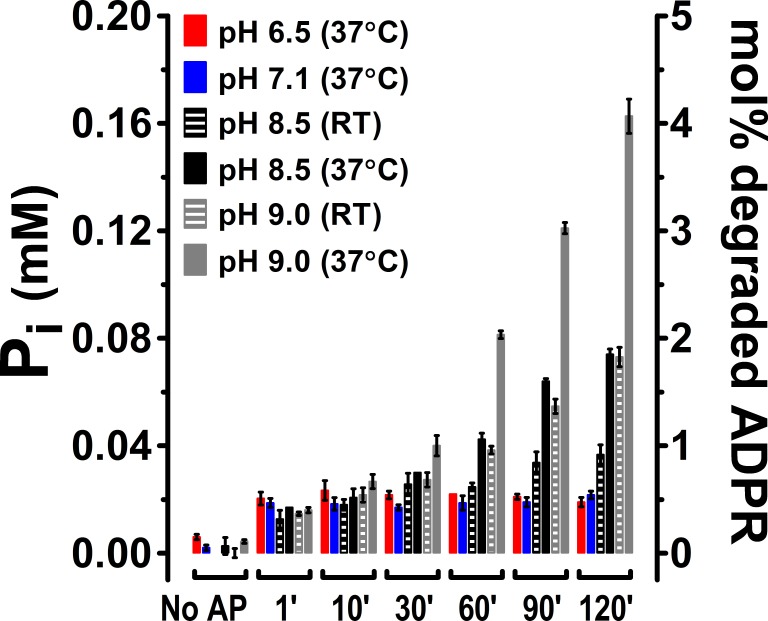 Figure 6—figure supplement 1.