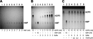 Figure 4—figure supplement 1.