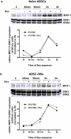 Fig 8