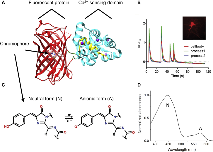 Figure 2