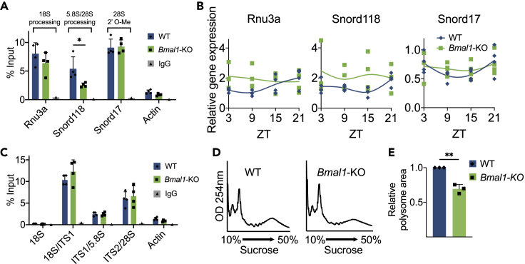 Figure 6