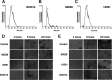 FIG 3