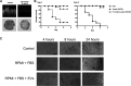 FIG 8
