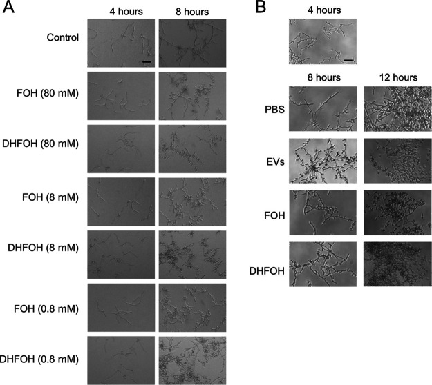 FIG 6