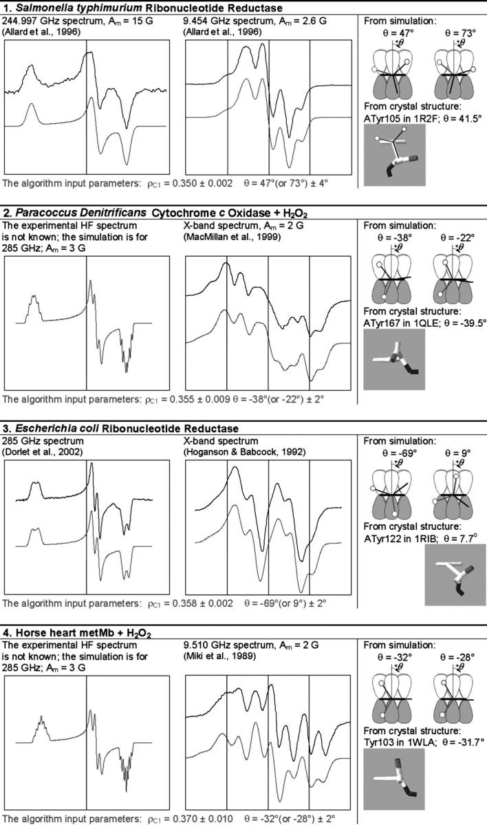 graphic file with name biophysj00041046T01AtoD_HT.jpg