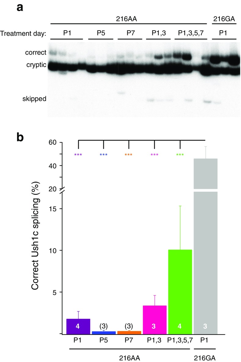 Fig. 7