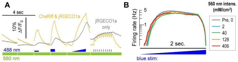 Fig. 4