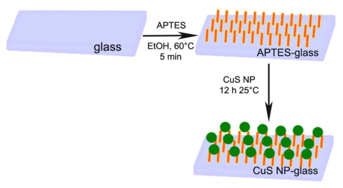 Scheme 1