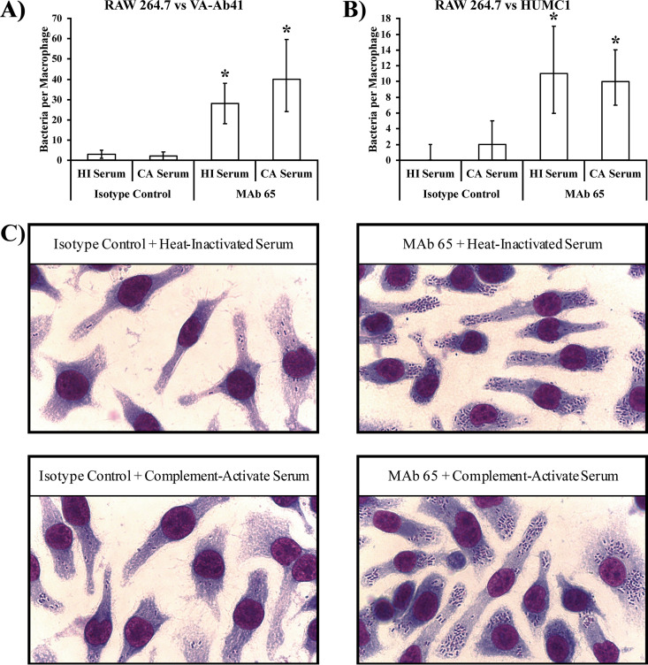 FIG 2