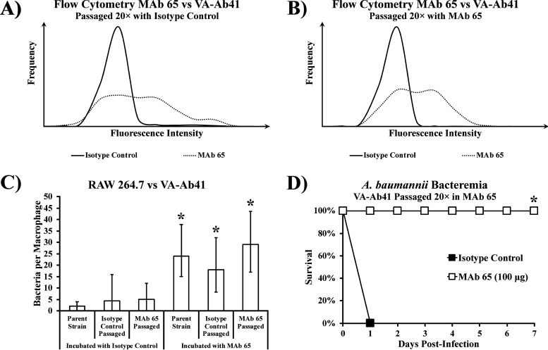 FIG 6