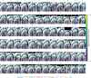 Figure 3—figure supplement 2.
