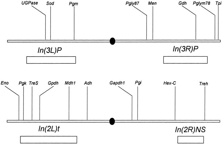 Figure 1.—