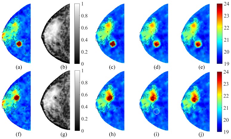 Fig. 8