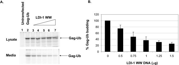 FIG. 7.