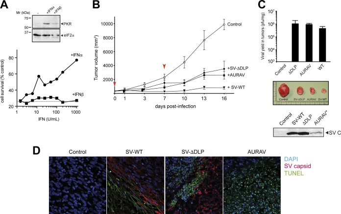 FIG 10